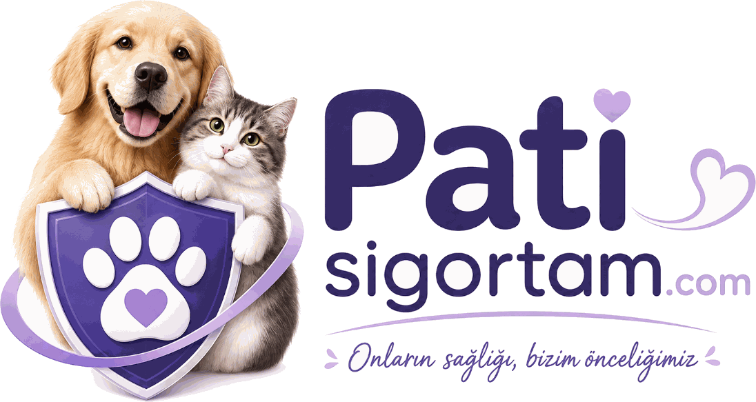 Patisigortam logosu